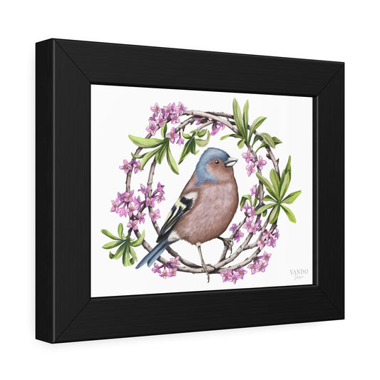 Fine Art Druck gerahmt – Buchfink und Seidelbast