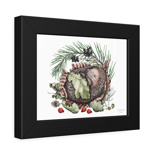 Fine Art Druck gerahmt – Schlafender Igel