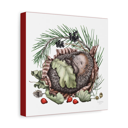 Leinwanddruck – Schlafender Igel