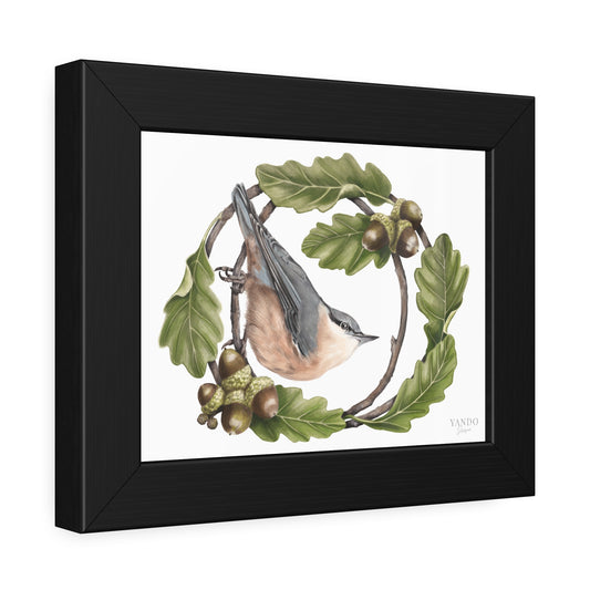 Fine Art Druck gerahmt – Kleiber und Traubeneiche