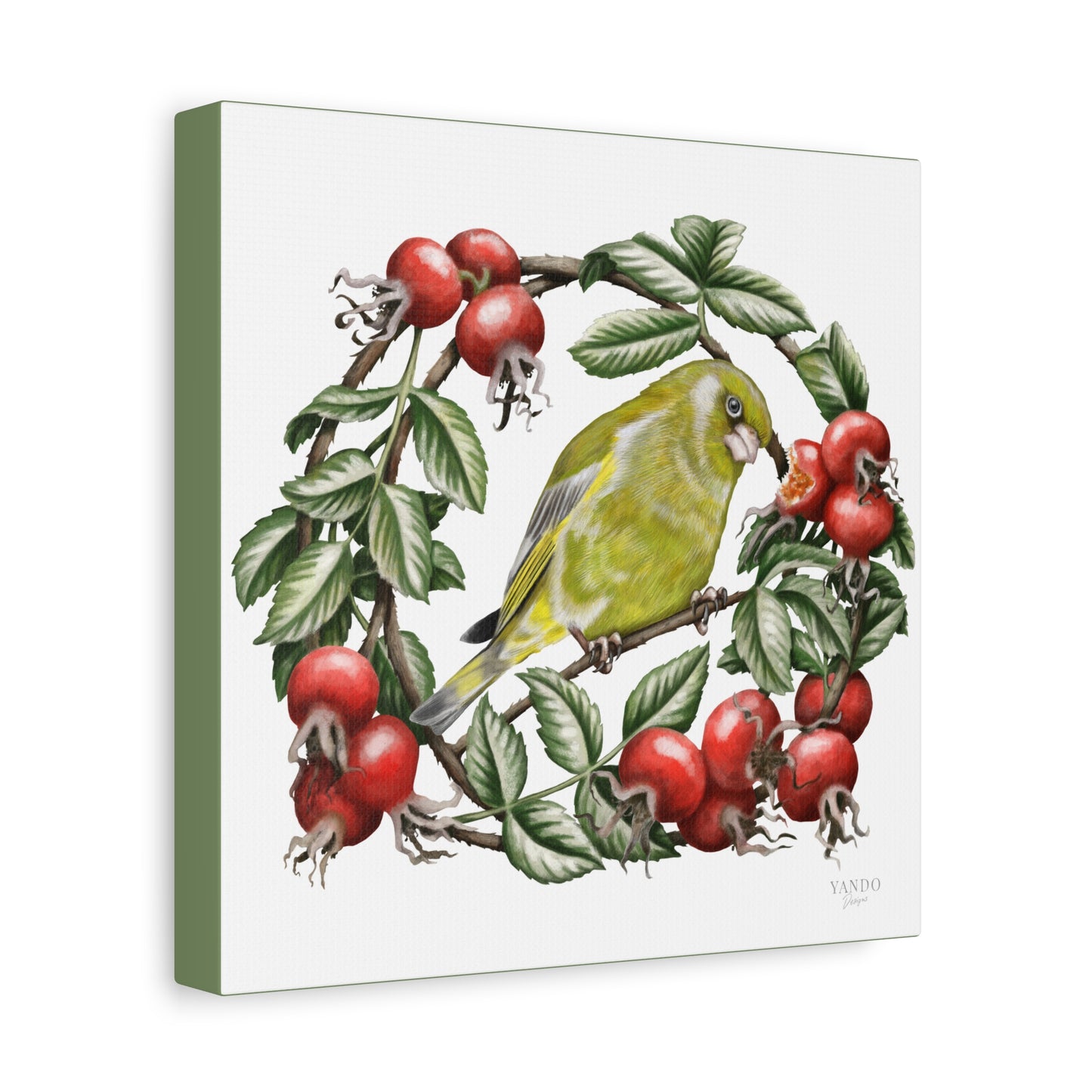 Leinwanddruck – Grünfink