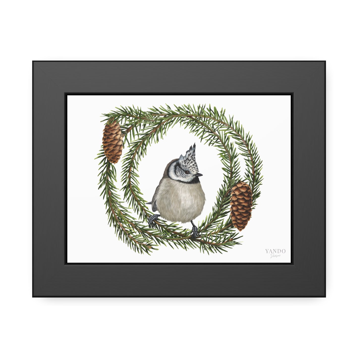 Fine art Druck gerahmt – Haubenmeise