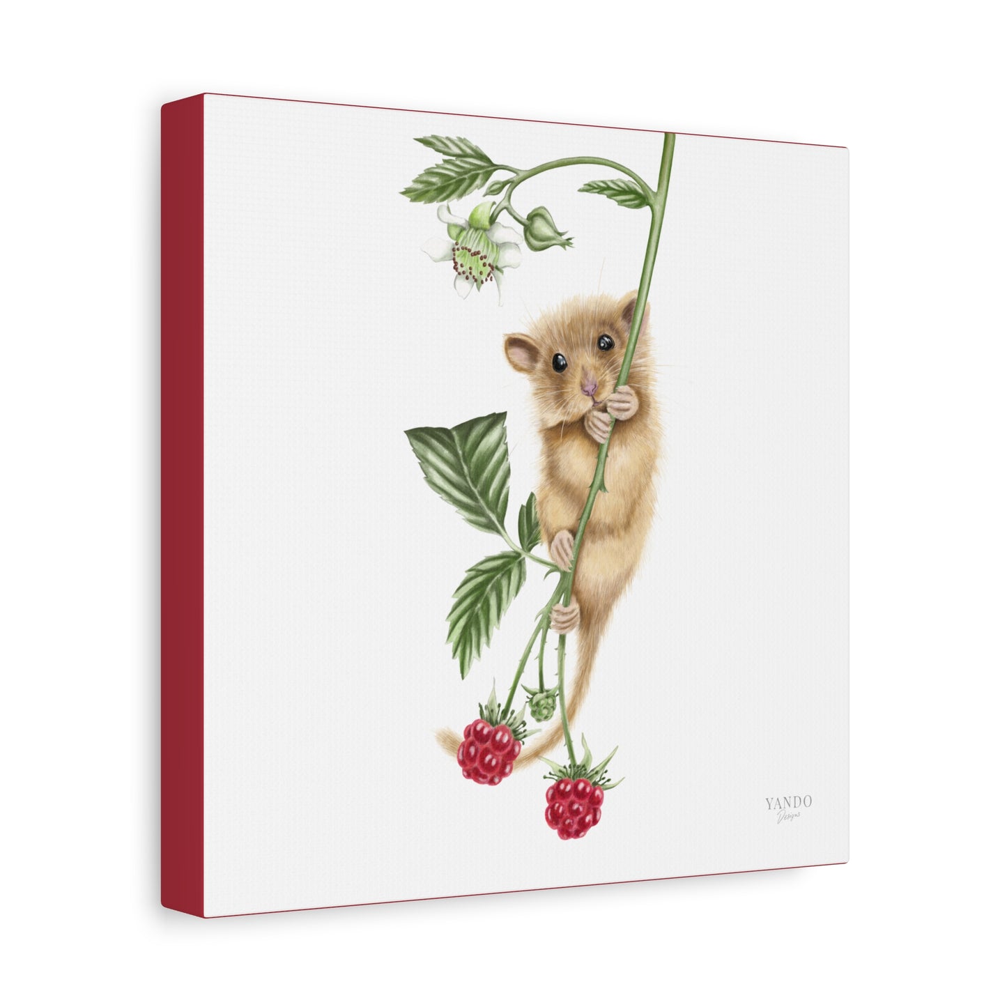Leinwanddruck – Haselmaus