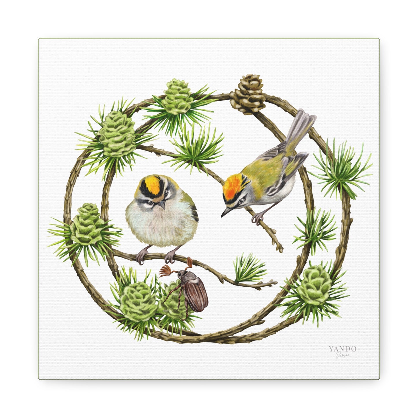 Leinwanddruck – Goldhähnchen