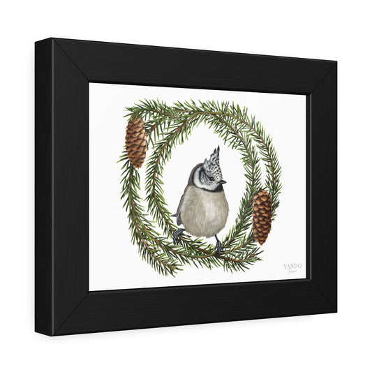 Fine Art Druck gerahmt – Haubenmeise und Fichte