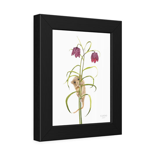 Fine Art Druck gerahmt – Haselmaus und Schachbrettblume