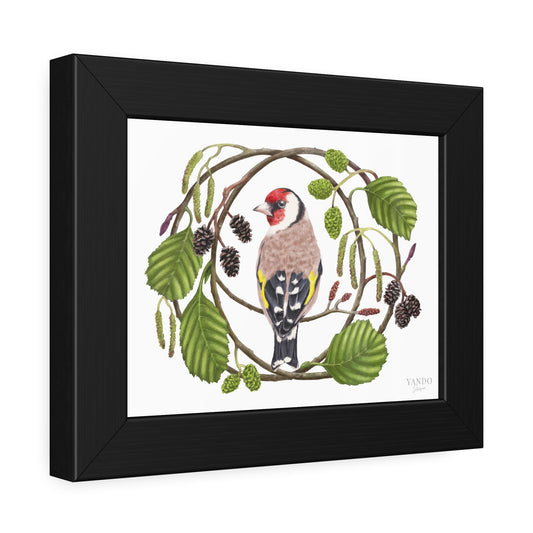 Fine Art Druck gerahmt – Stieglitz und Schwarzerle