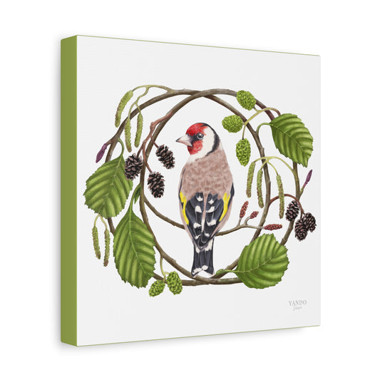 Leinwanddruck – Stieglitz und Schwarzerle