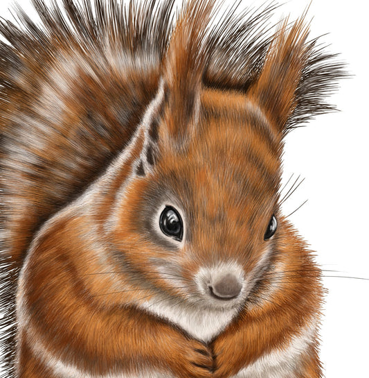 Kunstdruck Eichhörnchen – Detail rechts