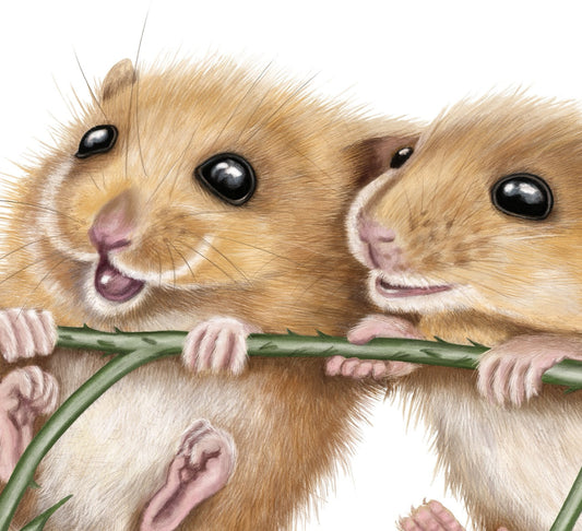 Grußkarte Haselmäuse und Himbeere – Detail Papierqualität