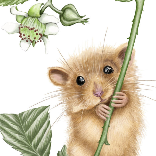 Grußkarte Haselmaus und Himbeere – Detail Papierqualität
