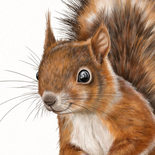 Detail von Eichhörnchen im Holzrahmen — feine Strichführung auf Fine-Art-Papier
