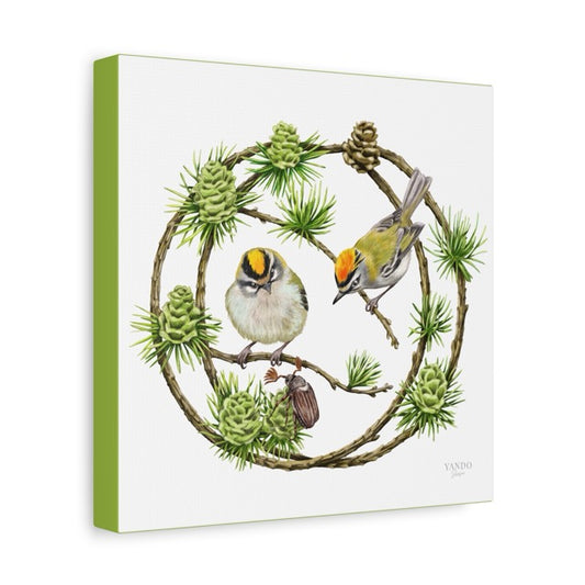 Leinwand mit detailliertem Naturmotiv von zwei Sommergoldhähnchen auf Lärchenzweigen, grüner Leinwandrand. - Leinwanddruck - Sommergoldhähnchen und Lärche - YANDO Designs