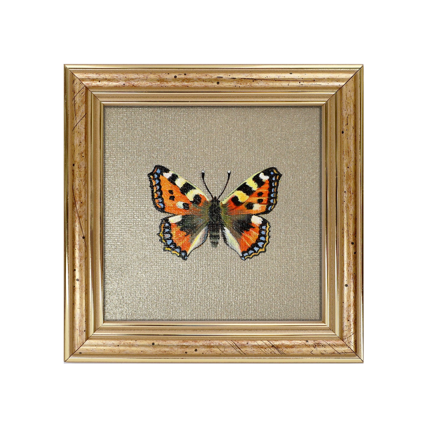 Handgemaltes Original Kleiner Fuchs Schmetterling
