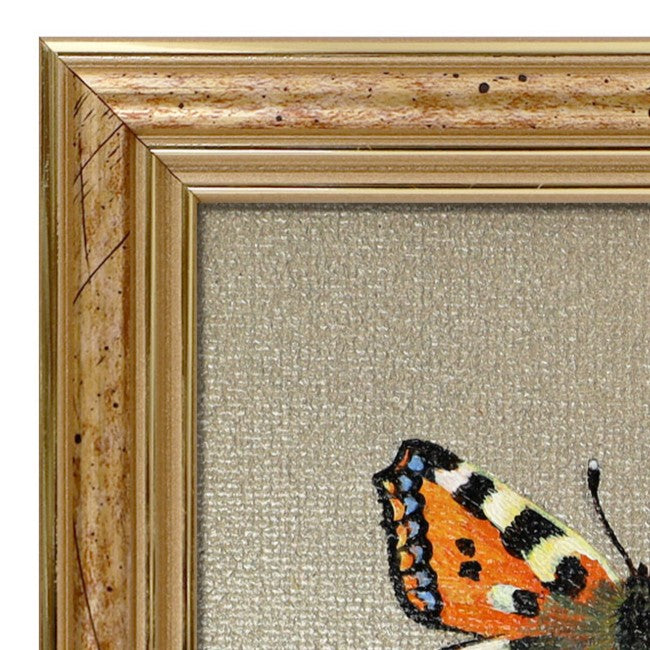 Handgemaltes Original Kleiner Fuchs Schmetterling