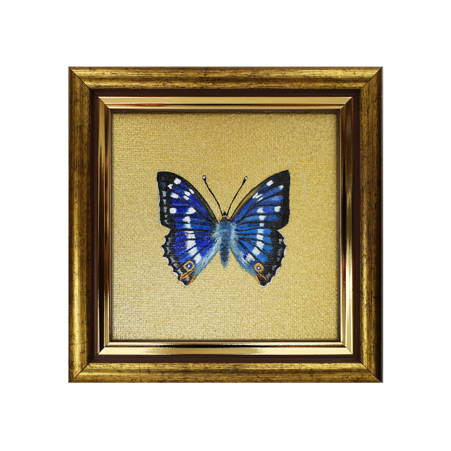 Handgemaltes Original mit Schillerfalter Schmetterling