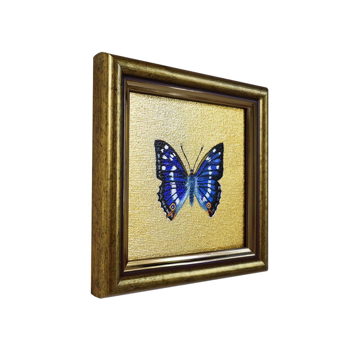 Handgemaltes Original mit Schillerfalter Schmetterling
