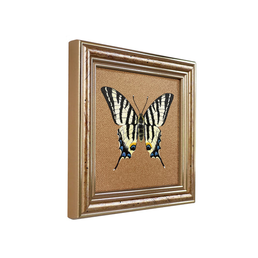 Handgemaltes Original – Segelfalter Schmetterling