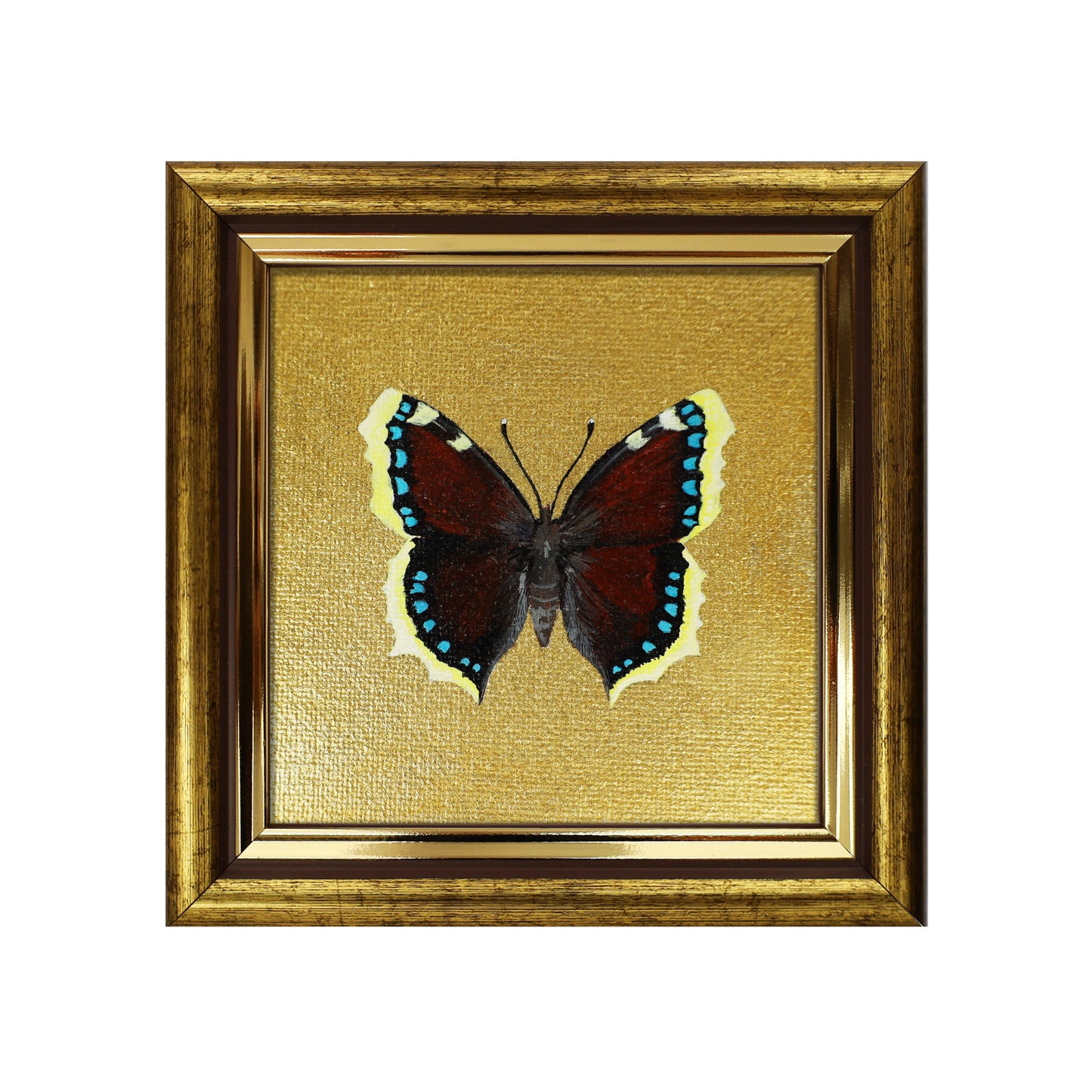 Handgemaltes Original Trauermantel Schmetterling