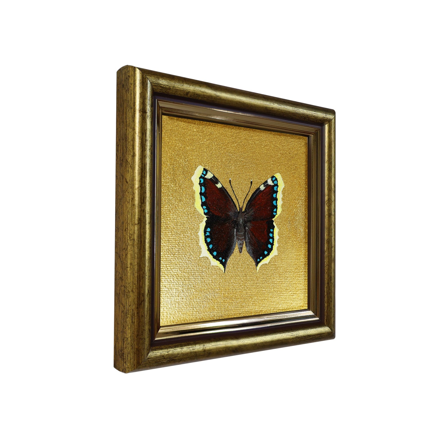 Handgemaltes Original Trauermantel Schmetterling