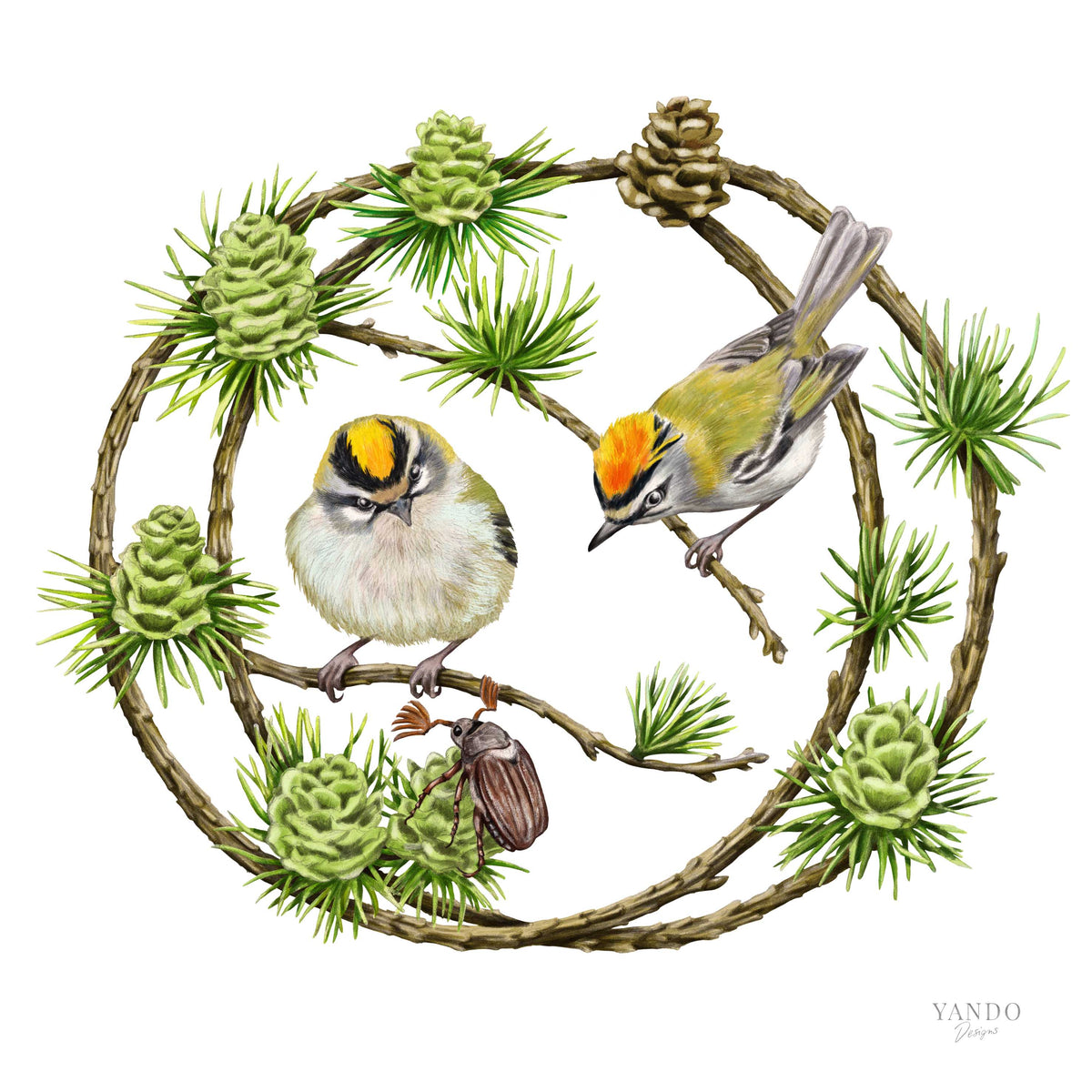 Sommergoldhähnchen — handgemalte Vogel-Illustration aus der Vogel-Motiv-Kollektion