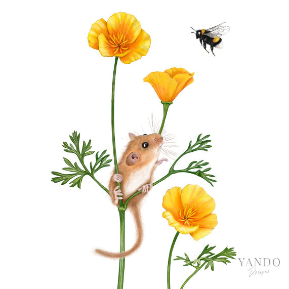 Haselmaus und Goldmohn — handgemaltes Naturmotiv