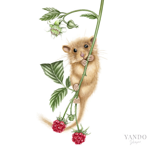 Haselmaus und Himbeere — handgemaltes Naturmotiv