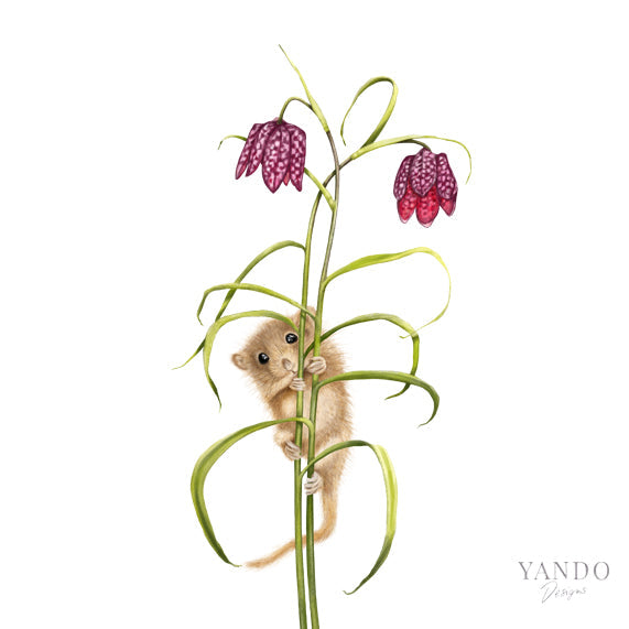 Haselmaus und Schachbrettblume — handgemaltes Naturmotiv