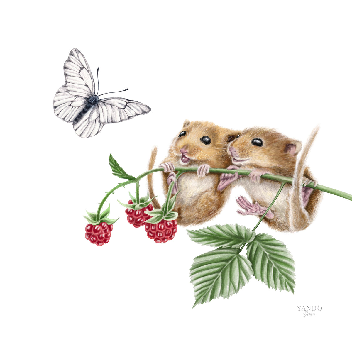 Haselmäuse mit Himbeeren und Schmetterling — handgemalte Naturillustrationen