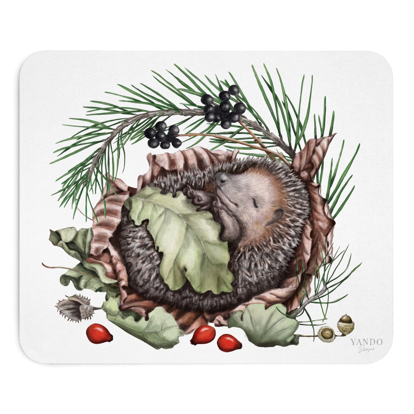Mousepad – Schlafender Igel