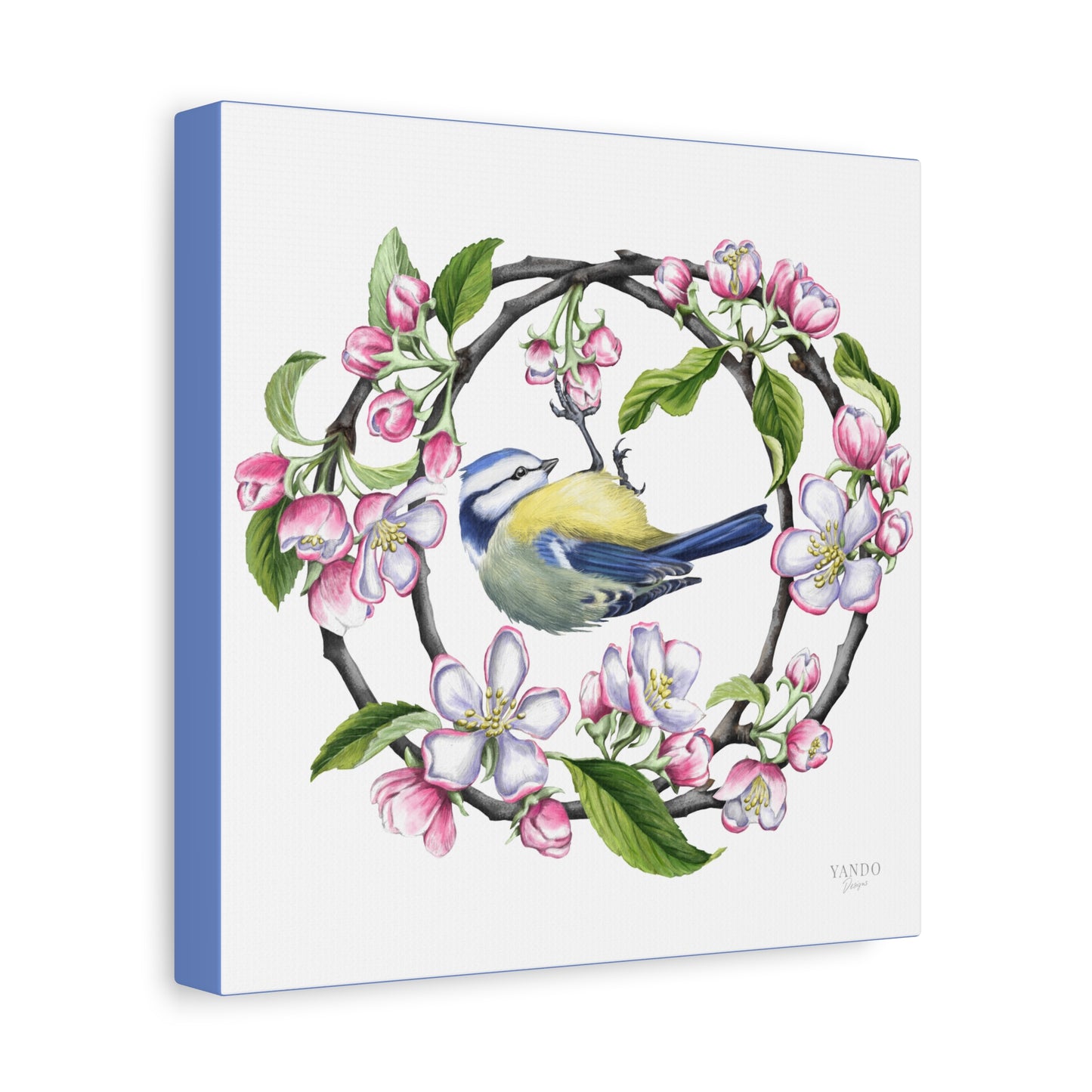 Leinwanddruck – Blaumeise