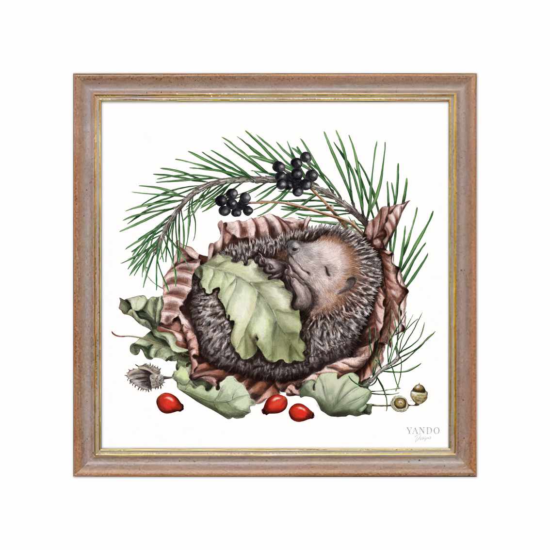 Schlafender Igel im nussbraunen Holzrahmen — gerahmt und aufhängbereit