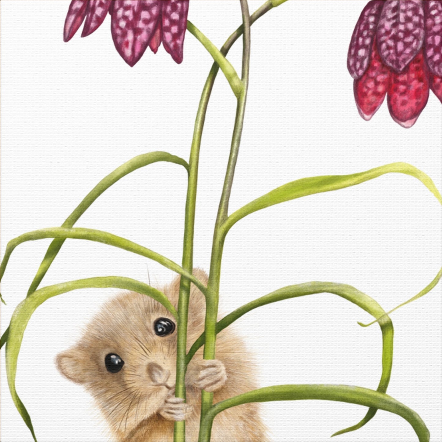 Leinwand-Canvas mit detailliertem Naturmotiv einer kleinen Haselmaus, die sich an grünen Pflanzenstielen festhält