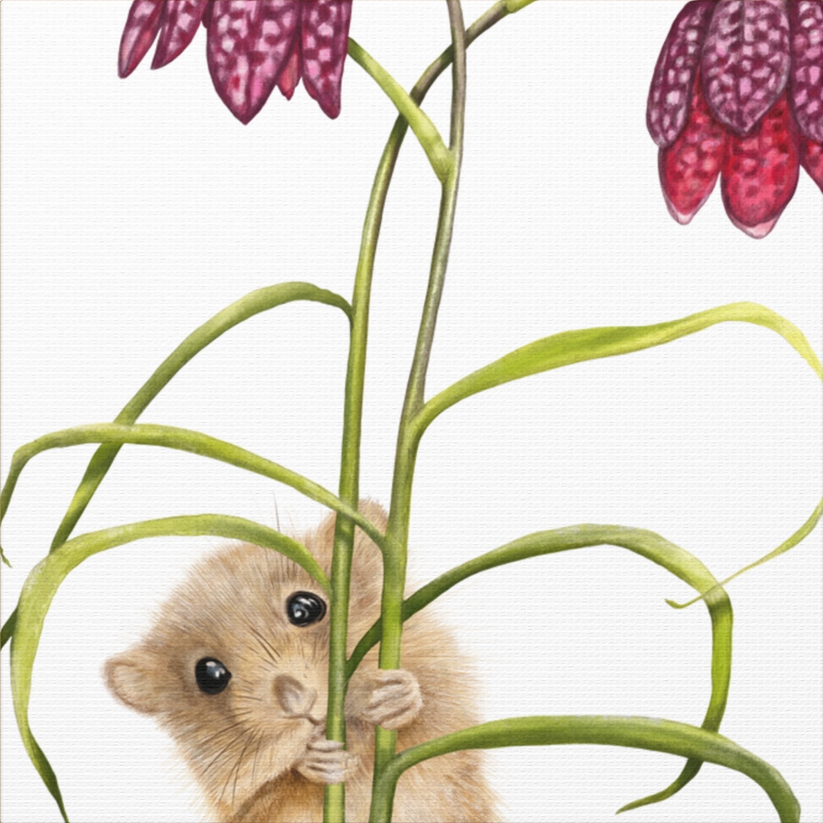 Leinwand-Canvas mit detailliertem Naturmotiv einer kleinen Haselmaus, die sich an grünen Pflanzenstielen festhält