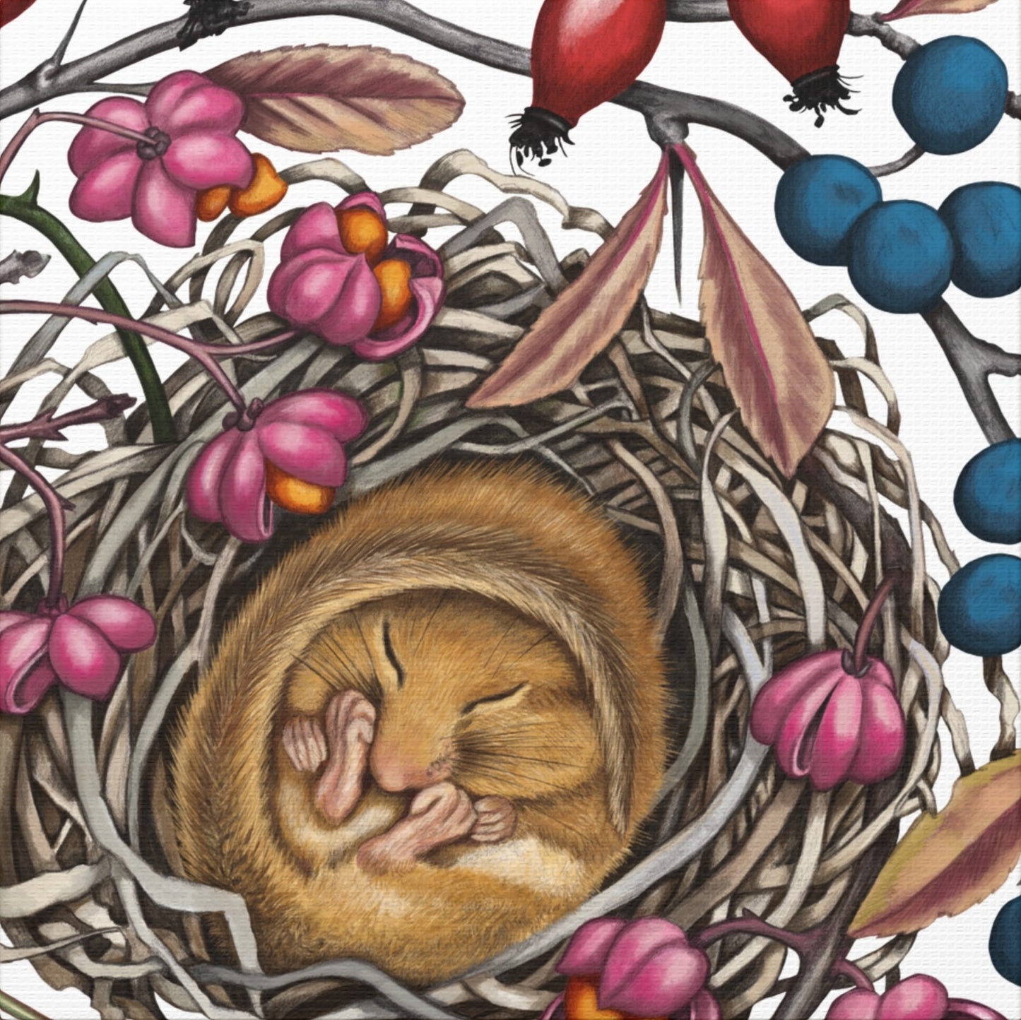 Detailliertes Naturmotiv auf Leinwand mit schlafender Haselmaus im Nest, umgeben von rosa und blauen Blüten auf Canvas