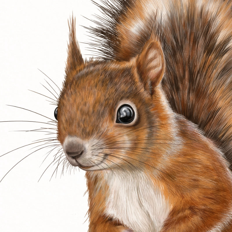 Detail von Eichhörnchen im Holzrahmen — feine Strichführung auf Fine-Art-Papier