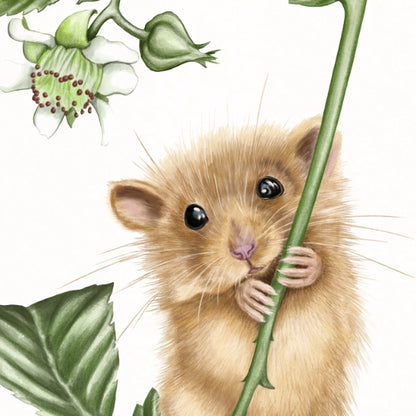Detail von Haselmaus und Himbeere im Holzrahmen — feine Strichführung auf Fine-Art-Papier