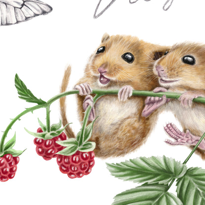 Detail-Aufnahme: Haselmäuse und Himbeere, handgemalt