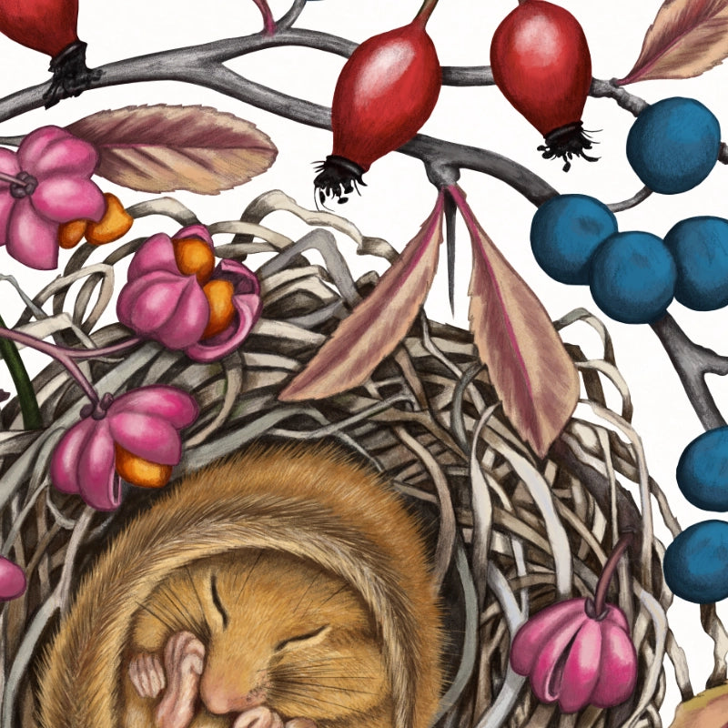 Detail von Schlafende Haselmaus im Holzrahmen — feine Strichführung auf Fine-Art-Papier