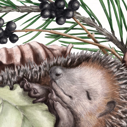 Detail von Schlafender Igel im Holzrahmen — feine Strichführung auf Fine-Art-Papier