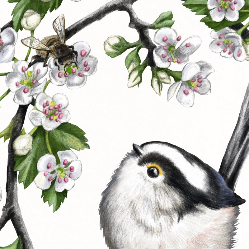 Detail von Schwanzmeise und Weißdorn im Holzrahmen — feine Strichführung auf Fine-Art-Papier