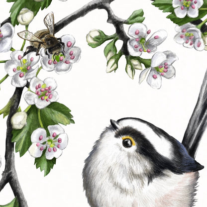 Detail von Schwanzmeise und Weißdorn im Holzrahmen — feine Strichführung auf Fine-Art-Papier