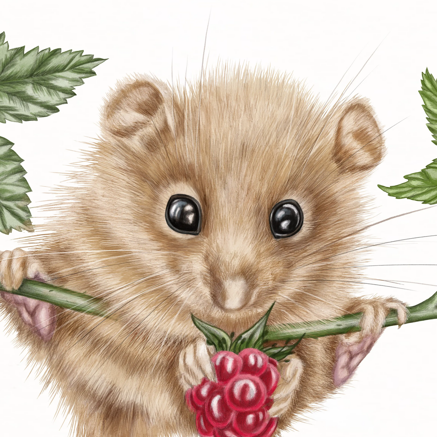 Detail-Aufnahme: Haselmaus und Himbeere II, handgemalt