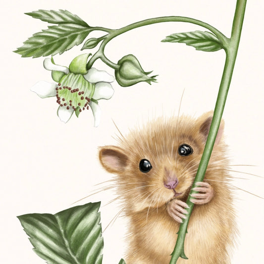 Detail-Aufnahme — Lesezeichen Haselmaus und Himbeere