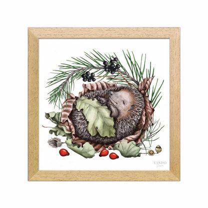 Schlafender Igel im dunklen Naturholz-Rahmen — gerahmt und aufhängbereit