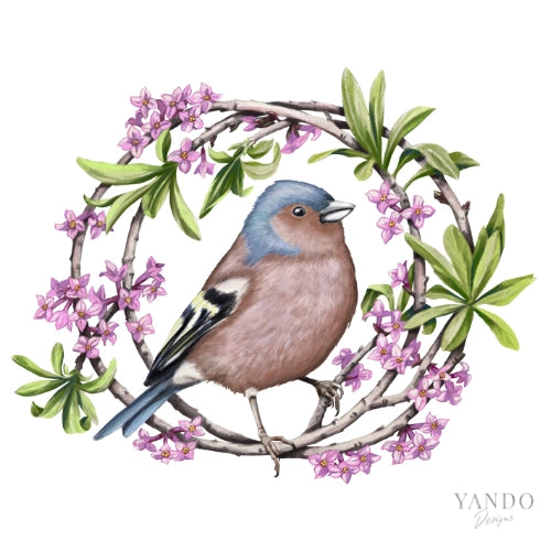 Galerie-Illustration Buchfink und Seidelbast – handgemaltes Naturmotiv von YANDO Designs