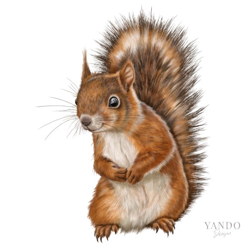 Galerie-Illustration Eichhörnchen – handgemaltes Naturmotiv von YANDO Designs