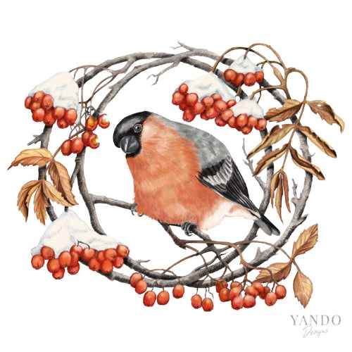 Galerie-Illustration Gimpel und Eberesche – handgemaltes Naturmotiv von YANDO Designs