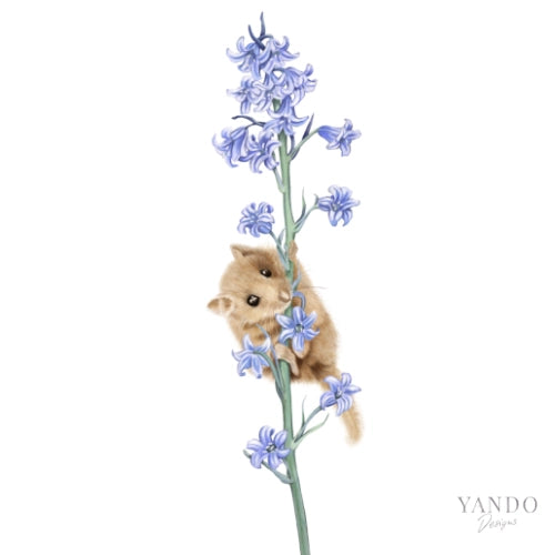Galerie-Illustration Haselmaus und Hasenglöckchen – handgemaltes Naturmotiv von YANDO Designs