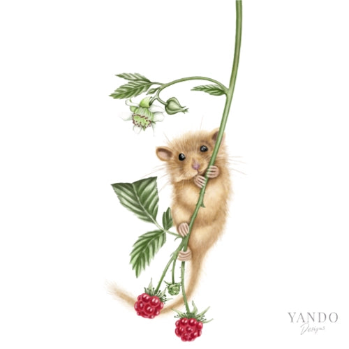 Galerie-Illustration Haselmaus und Himbeere – handgemaltes Naturmotiv von YANDO Designs